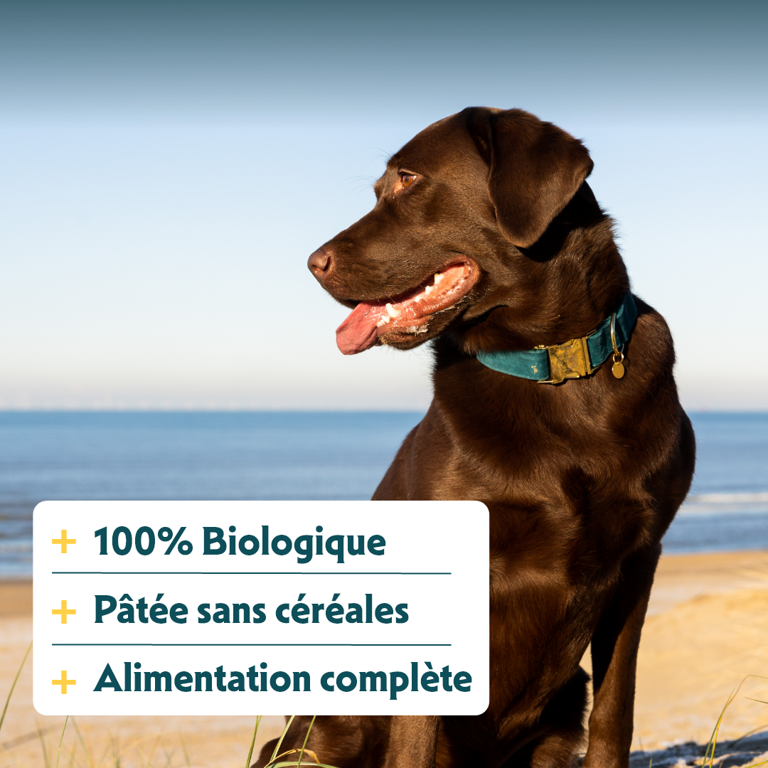 Yarrah pâtées bio sans céréales - Lot 12 x 400 g