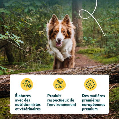 Yarrah mini snacks bio pour chien