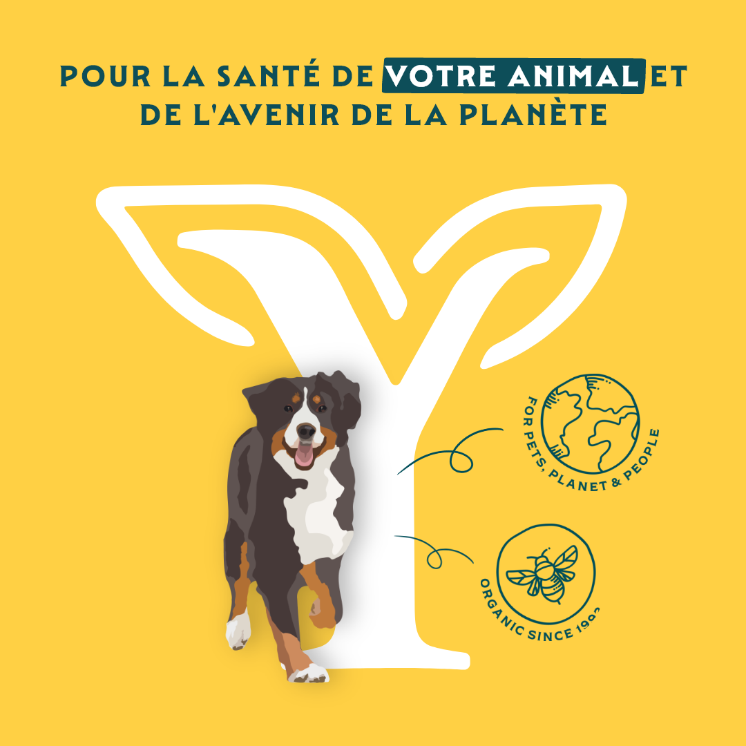 Yarrah sticks à mâcher bio chien
