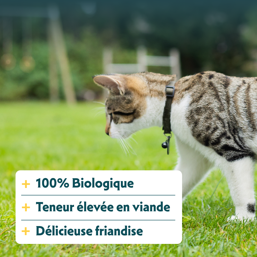Yarrah sticks à mâcher Bio chat