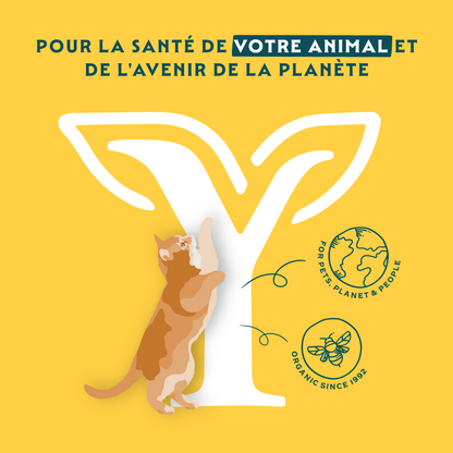 Yarrah sticks à mâcher Bio chat