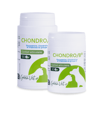 Chondro B spécial articulations chat, chien