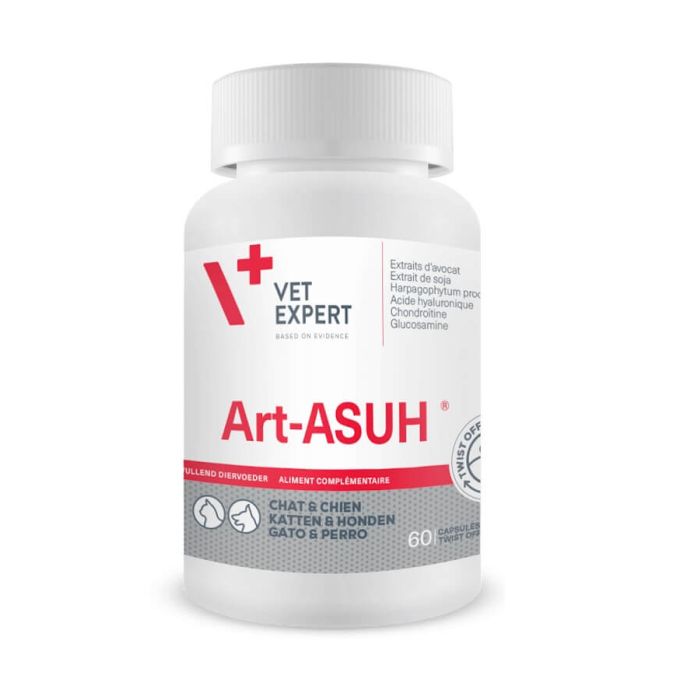 Art Asu XL 90 comprimés