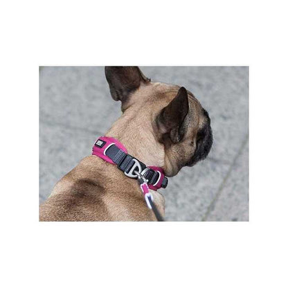 Collier Dog Copenhagen Urban Explorer chien