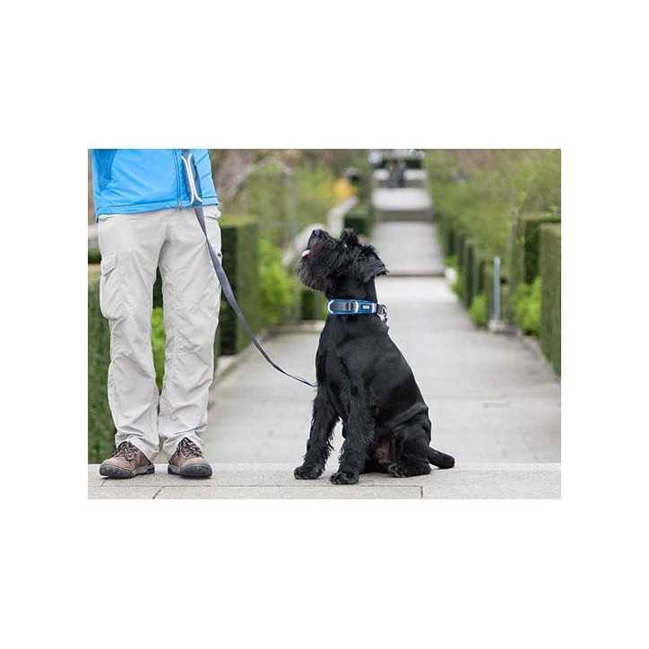 Collier Dog Copenhagen Urban Explorer chien