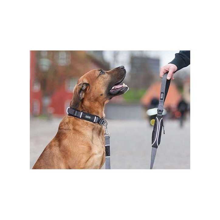 Collier Dog Copenhagen Urban Explorer chien