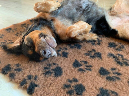 Tapis type Vetbed Petbed chien
