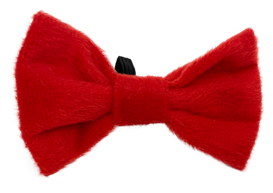 Noeud rouge de Noël chien, chat