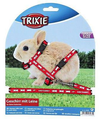 Harnais &amp; laisse petit lapin