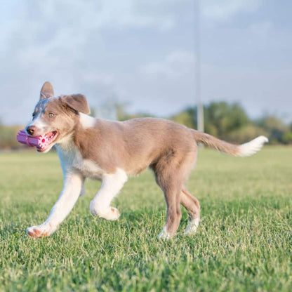 Jouet Kong Puppy Teeth chiot