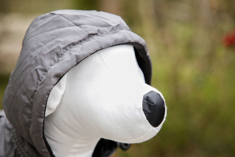 Manteau Seattle avec capuche chien