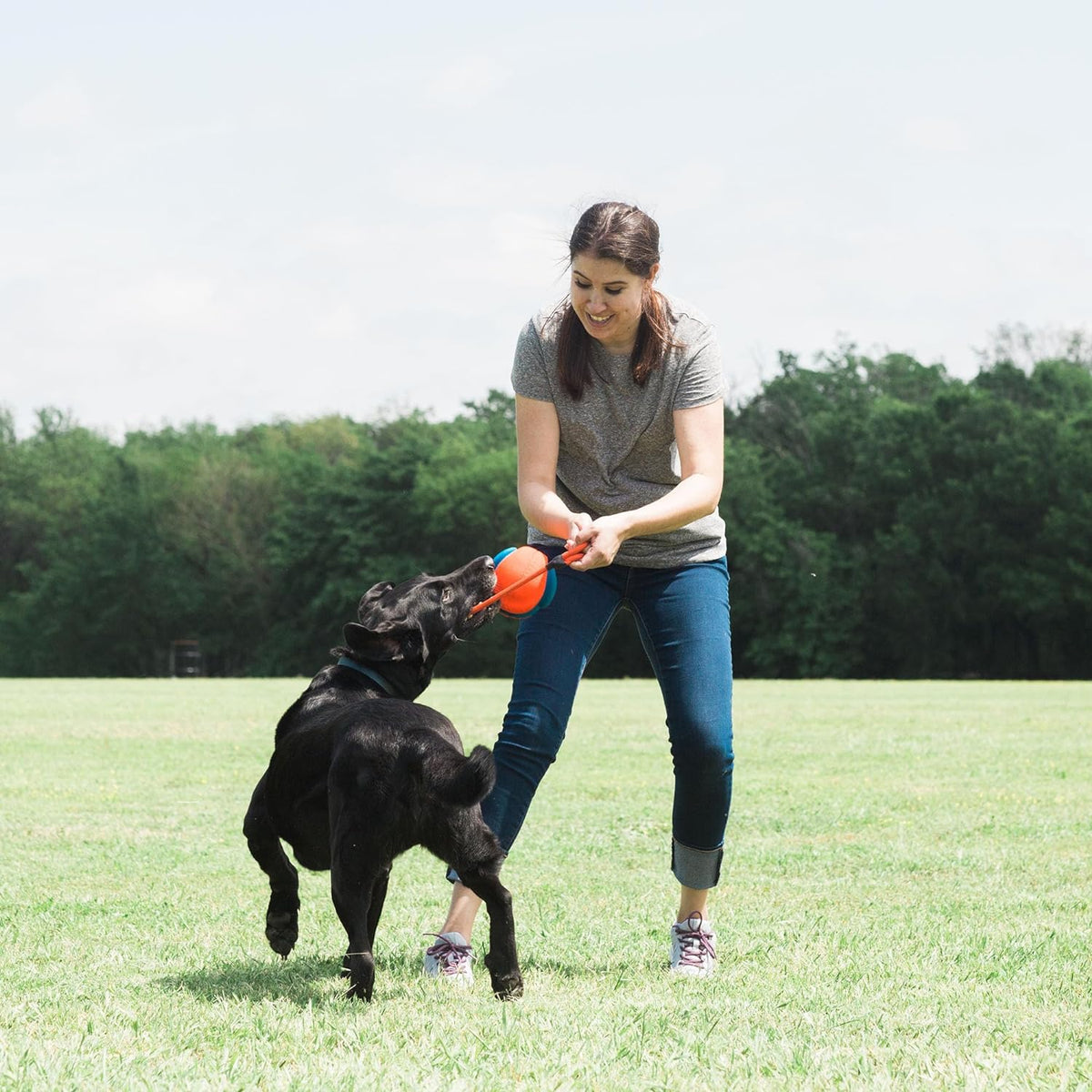 Jouet Rope Fetch ballon 3 en 1 chien