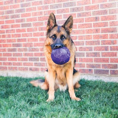 Jouet Kong Flexball chien