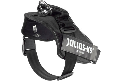 Harnais Julius Idc Pow.