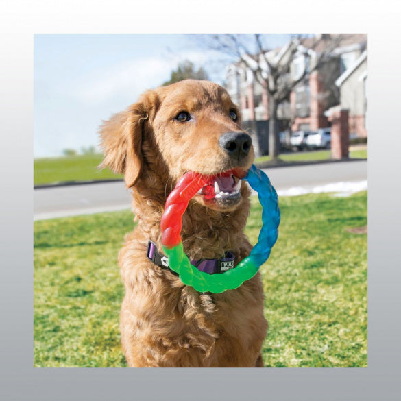 Jouet Kong Twistz Ring chien