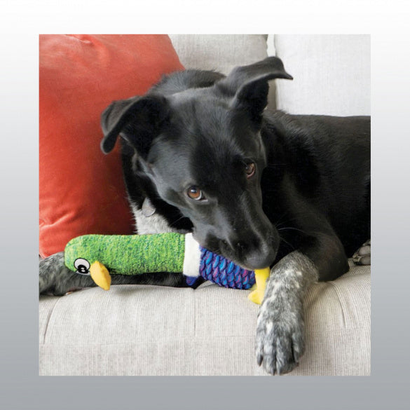 Jouet Kong Shakers Cuckoos chien