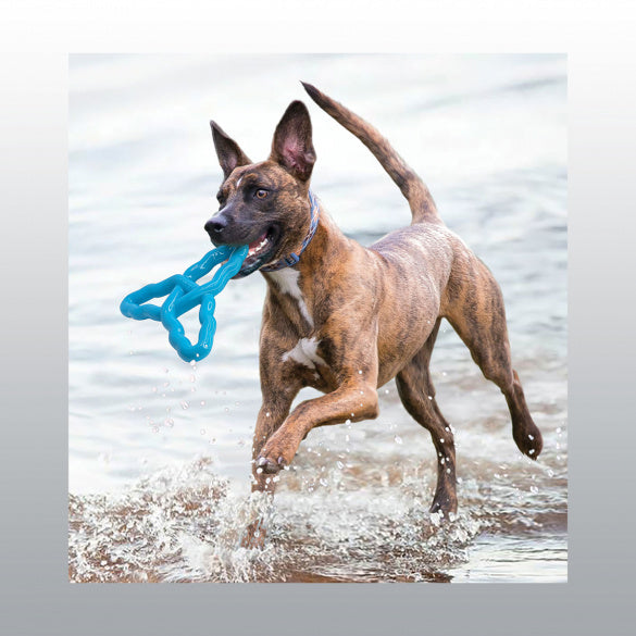 Jouet Kong Flyangle chien