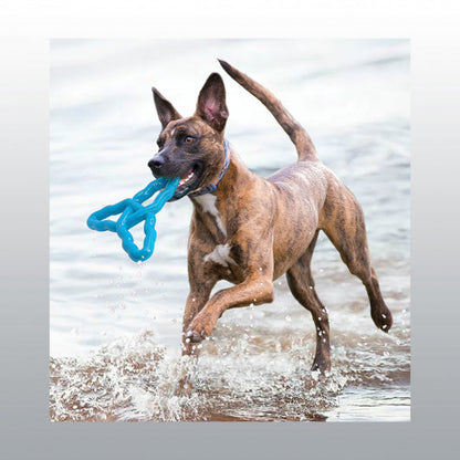 Jouet Kong Flyangle chien