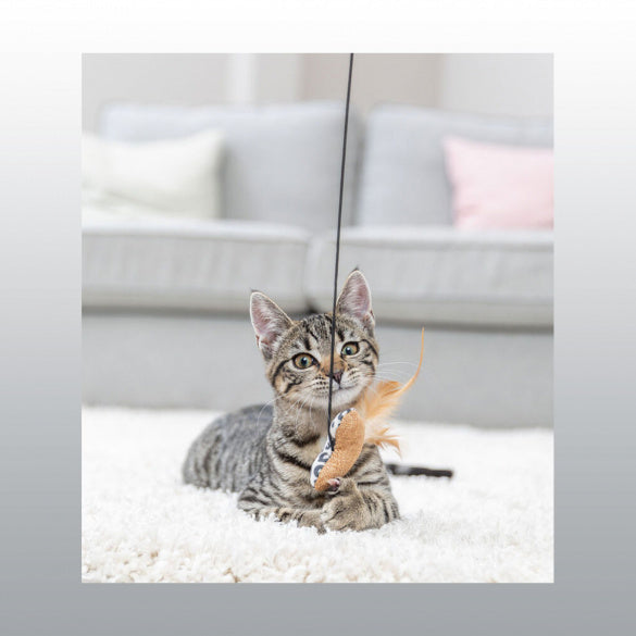Canne  à pêche Coeur Leo chat