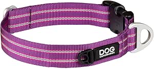 Dog Copenhagen collier Urban Style chien