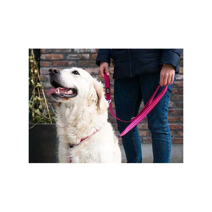 Dog Copenhagen Urban Freestyle laisse chien