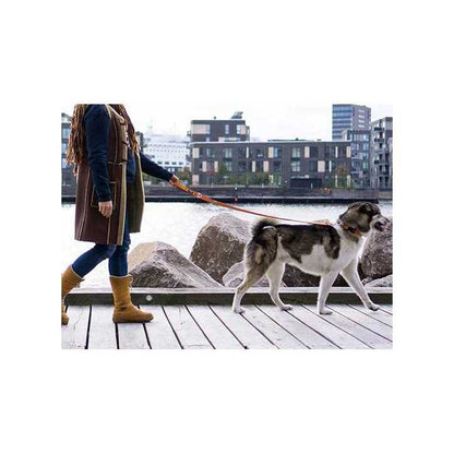 Dog Copenhagen Urban Freestyle laisse chien