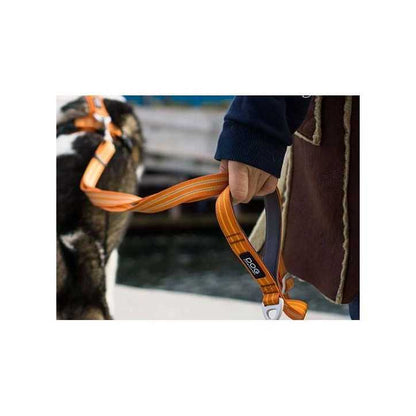 Dog Copenhagen Urban Freestyle laisse chien
