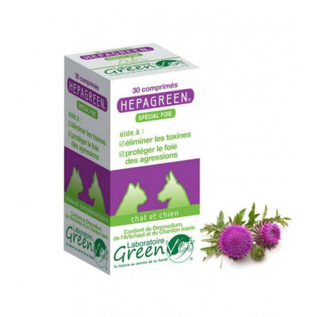 Hepagreen chat, chien