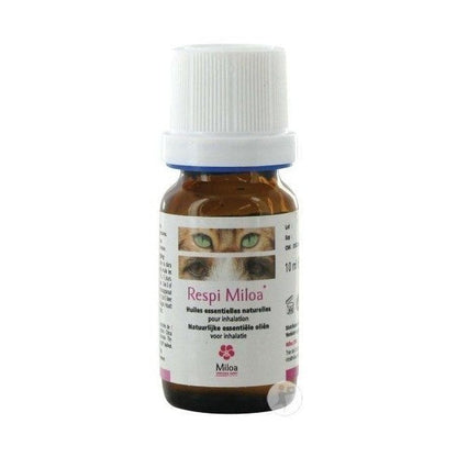 Respi Miloa chat, chien