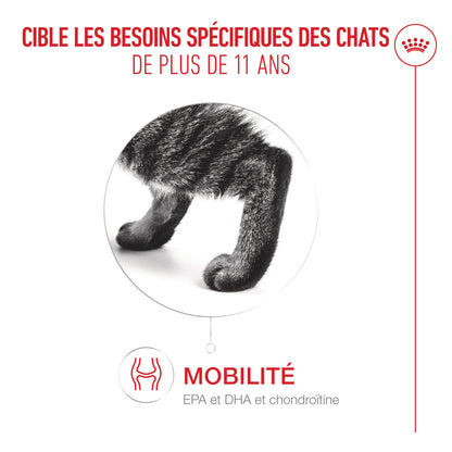 Royal Canin Ageing 11+ - pâtée chat