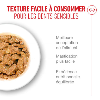 Royal Canin Ageing 11+ - pâtée chat