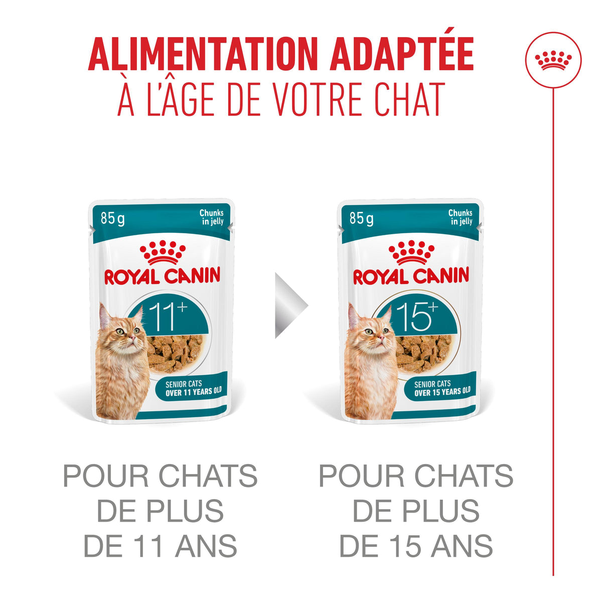 Royal Canin Ageing 11+ - pâtée chat