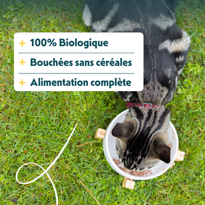 Yarrah bouchées bio sans céréales - pâtée chat
