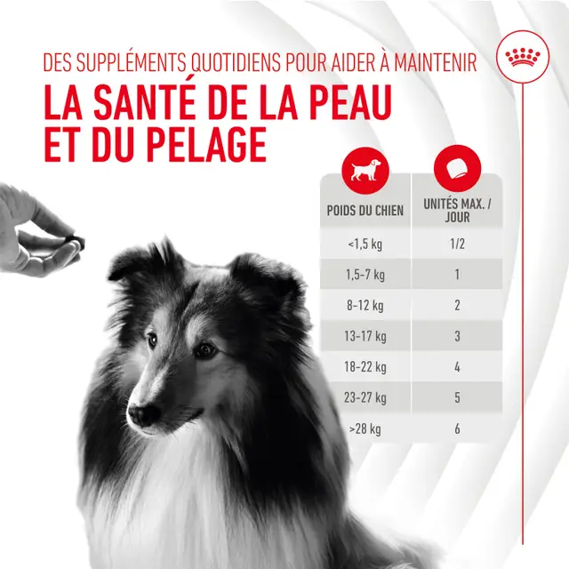 Aliment complémentaire Skin &amp; Coat Chews Adult Dog Supplements chien
