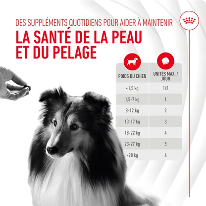 Aliment complémentaire Skin &amp; Coat Chews Adult Dog Supplements chien