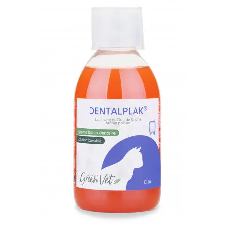 Dentalplack chat
