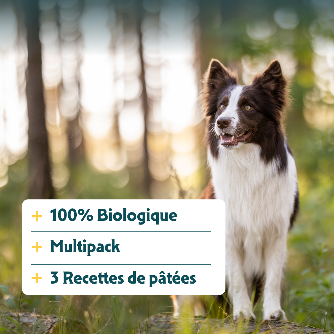 Yarrah multi-pack bio - pâtée chien
