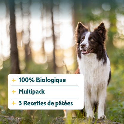Yarrah multi-pack bio - pâtée chien