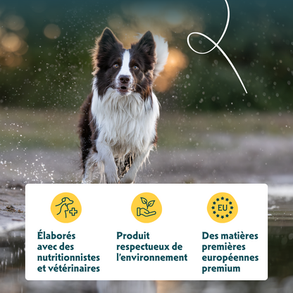 Yarrah multi-pack bio - pâtée chien