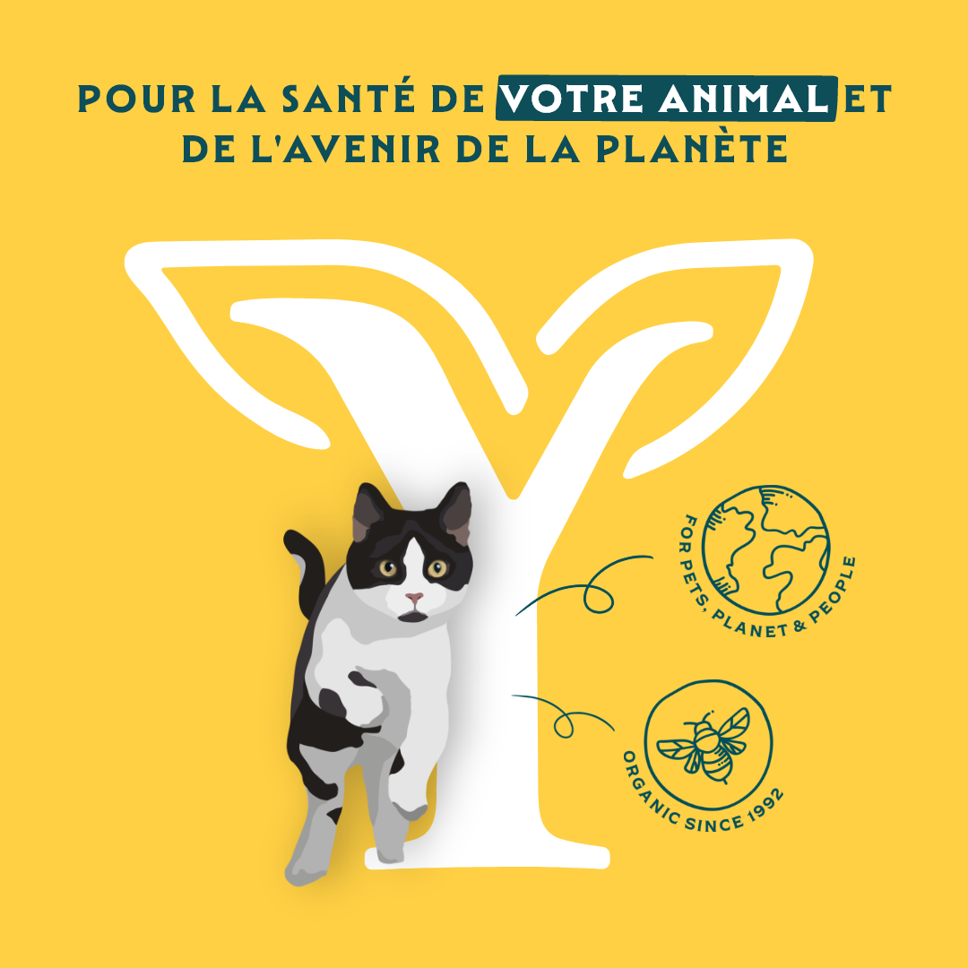 Yarrah multi-pack bio - pâtée chat