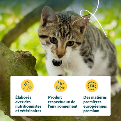 Yarrah multi-pack bio - pâtée chat