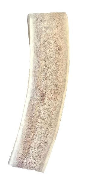 Bois de cerf coupé taille L