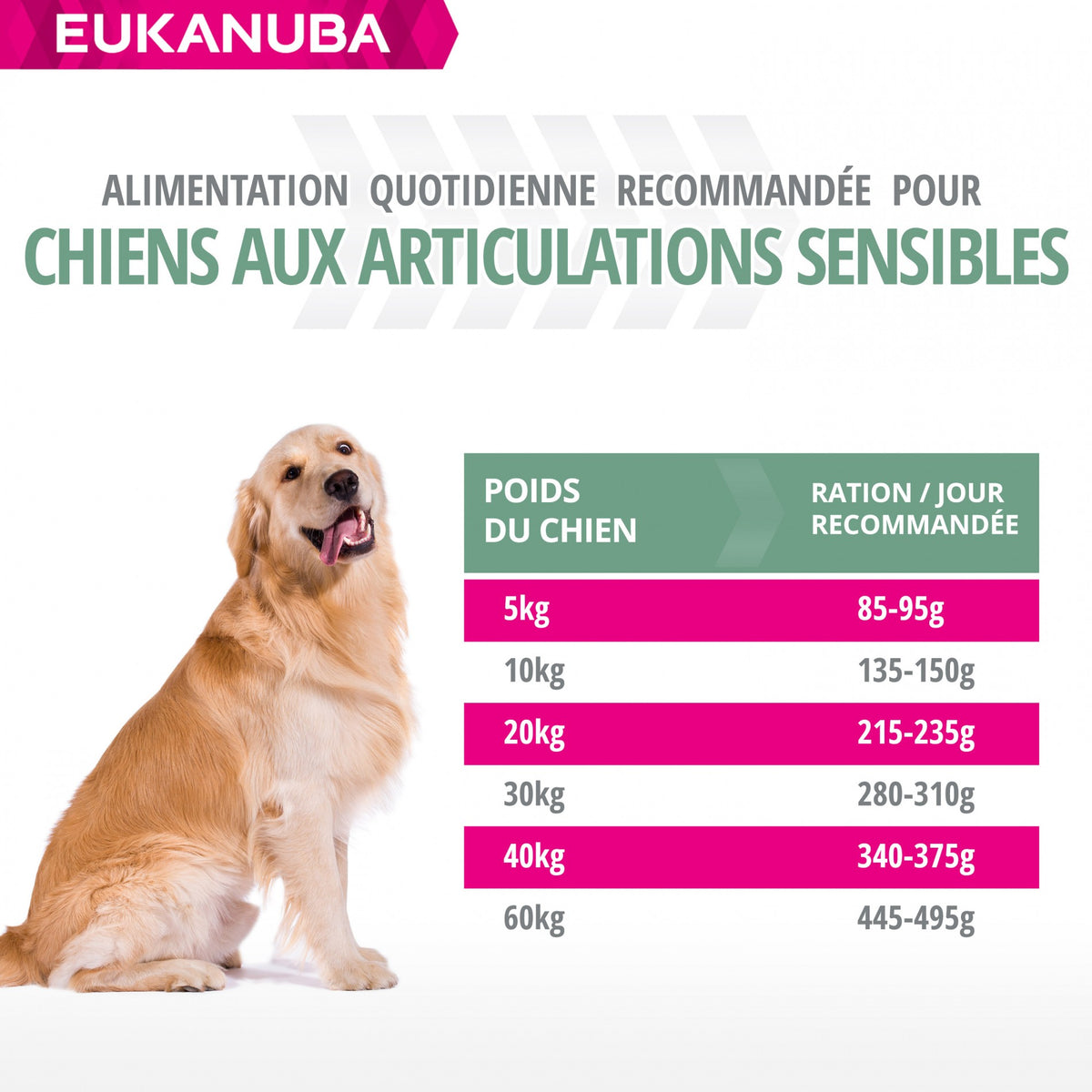 Eukanuba Daily Care Sensitive Joints - croquettes chien