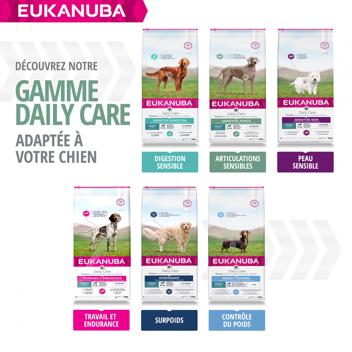 Eukanuba Daily Care Sensitive Joints - croquettes chien