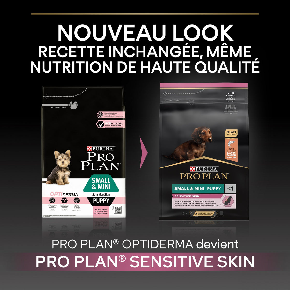Pro Plan Sensitive Skin Small &amp; Mini Puppy au saumon - croquettes chiot