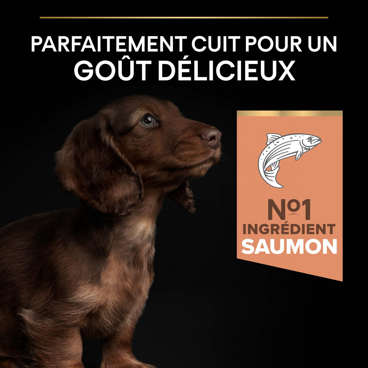 Pro Plan Sensitive Skin Small &amp; Mini Puppy au saumon - croquettes chiot