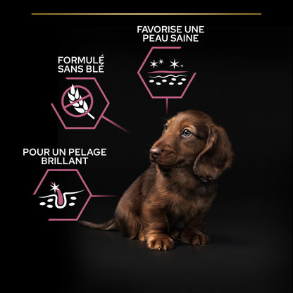 Pro Plan Sensitive Skin Small &amp; Mini Puppy au saumon - croquettes chiot