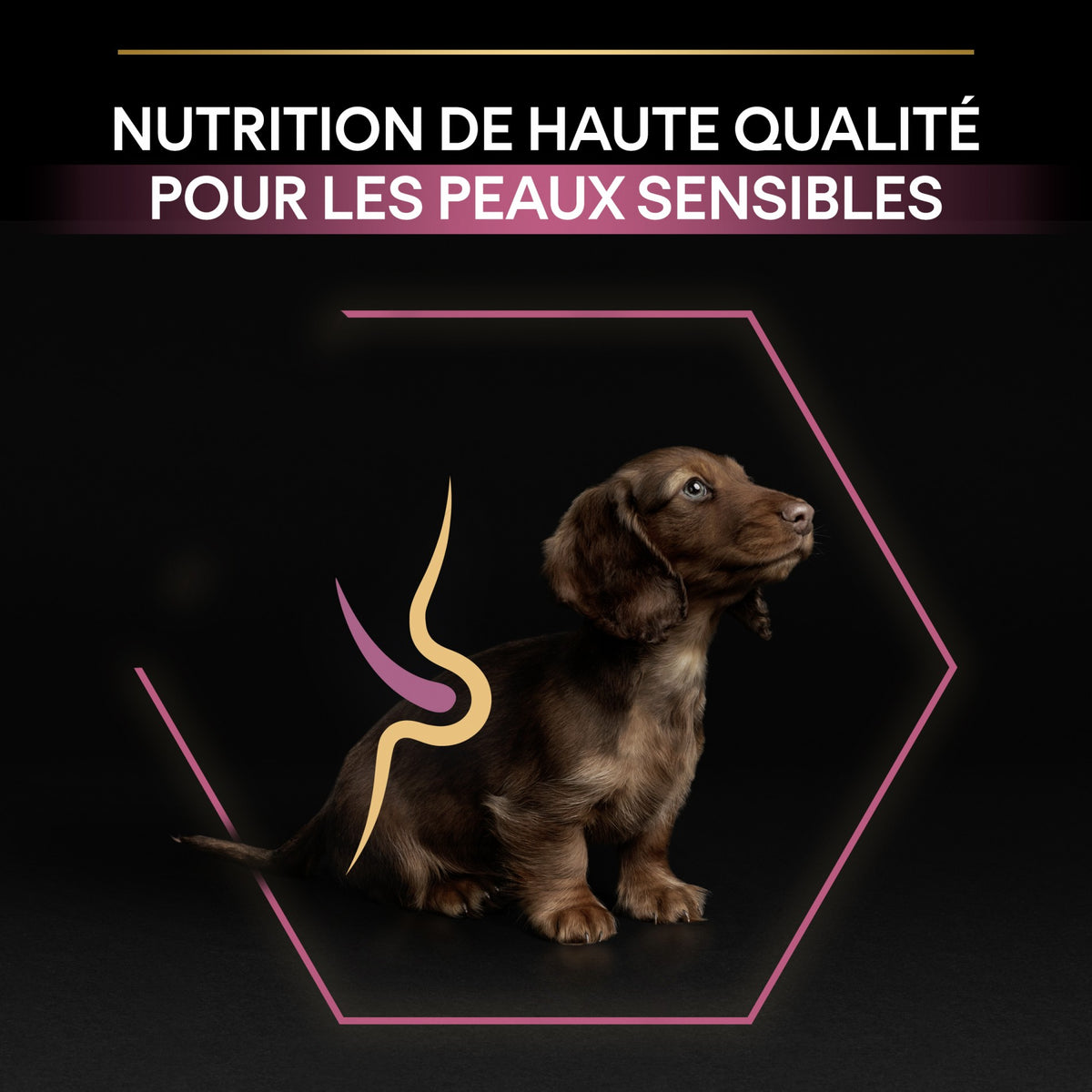 Pro Plan Sensitive Skin Small &amp; Mini Puppy au saumon - croquettes chiot