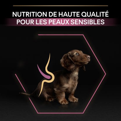 Pro Plan Sensitive Skin Small &amp; Mini Puppy au saumon - croquettes chiot