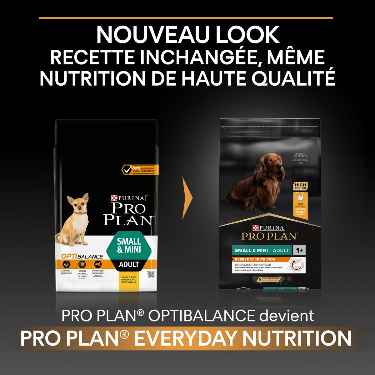 Pro Plan Everyday Nutrition Small &amp; Mini Adult au poulet - croquettes chien
